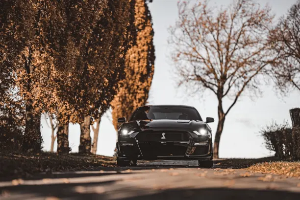 Kazino Lion Wins Android/iOS programa